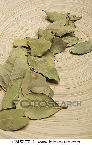 Stock Image - Close-Up, Concentric Circle, Dry, Indoors. Fotosearch