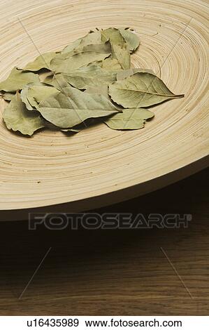 Close-Up, Concentric Circle, Dry, Indoors, Leaf View Large Photo Image Stock Photo - Close-Up, Concentric Circle, Dry, Indoors, Leaf. Fotosearch