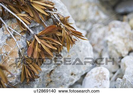 Close-Up, Concrete, Day, Hard, Heap View Large Photo Image Stock Image - Close-Up, Concrete, Day, Hard, Heap. Fotosearch