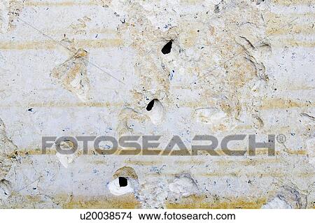 Close-Up, Cracked, Damaged, Day, Full Frame View Large Photo Image Picture - Close-Up, Cracked, Damaged, Day, Full Frame. Fotosearch