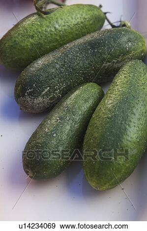 Close-Up, Cucumber, Day, Directly Above, Food View Large Photo Image Stock Photo - Close-Up, Cucumber, Day, Directly Above, Food. Fotosearch