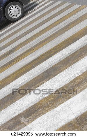 Close-Up, Day, Crosswalk, Crossing, Asphalt View Large Photo Image Stock Photography - Close-Up, Day, Crosswalk, Crossing, Asphalt. Fotosearch