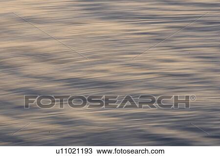 Stock Image - Close-Up, Day, Defocused, Full Frame. Fotosearch