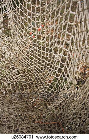 Stock Image - Close-Up, Day, Design, Fishing Nets, Knitted. Fotosearch