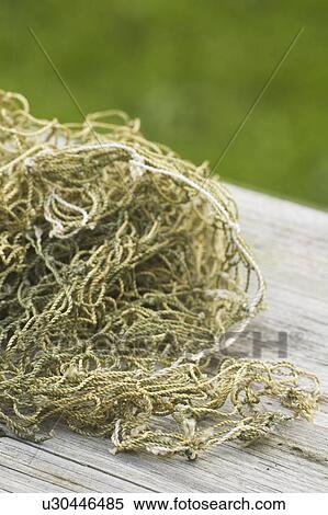 Stock Photography - Close-Up, Day, Fishing Net, Focus On Foreground, Green. Fotosearch
