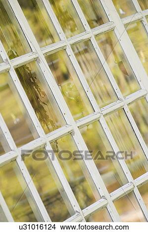 Picture - Close-Up, Day, Fixed, Frame, Glass. Fotosearch