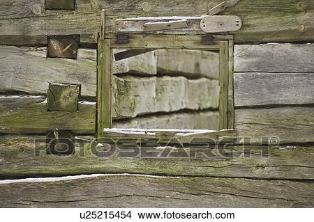 Picture - Close-Up, Day, Focus On Foreground. Fotosearch