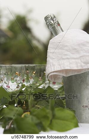 Stock Photo - Close-Up, Day, Foil, Glass, Green. Fotosearch