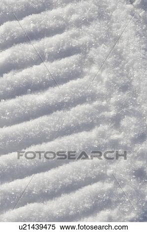 Stock Photography - Close-Up, Day, Footprint, Full Frame. Fotosearch