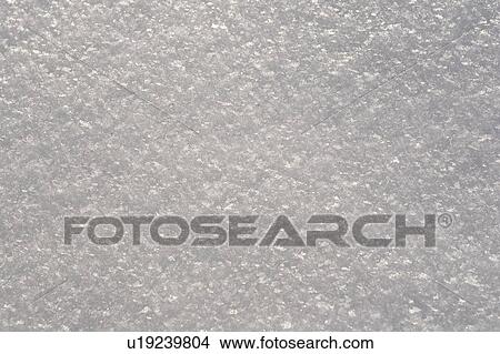 Picture - Close-Up, Day, Frost. Fotosearch