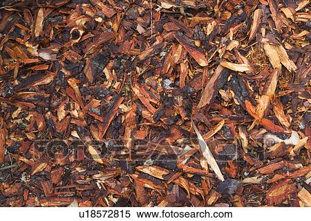 Close-Up, Day, Full Frame, Heap View Large Photo Image Stock Photography - Close-Up, Day, Full Frame, Heap. Fotosearch