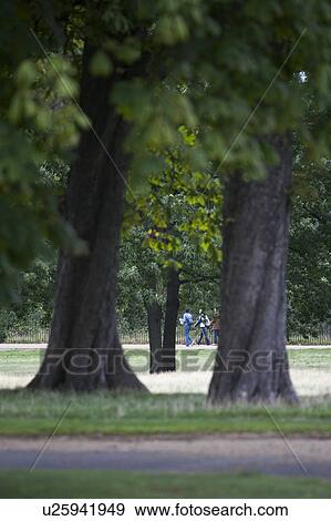 Stock Photo - Close-Up, Day, Grass, Leaves, Lush Foliage. Fotosearch