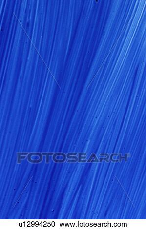 Stock Image - close-up, decorative, creative, creation, design, appearance. Fotosearch