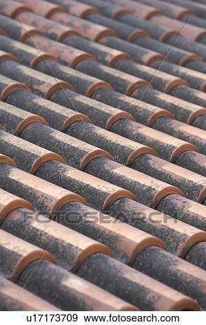 Stock Photo - Close-Up, Faded, Day, Arrangement. Fotosearch