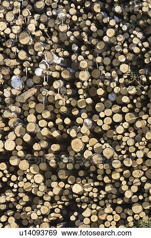 Stock Photo - Close-Up, Firewood, Day, Collection, Arrangement. Fotosearch