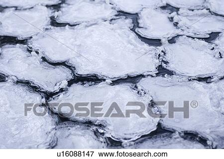 Close-Up, Floating, Floating On Water, Frozen, Full Frame View Large Photo Image Stock Photo - Close-Up, Floating, Floating On Water, Frozen, Full Frame. Fotosearch