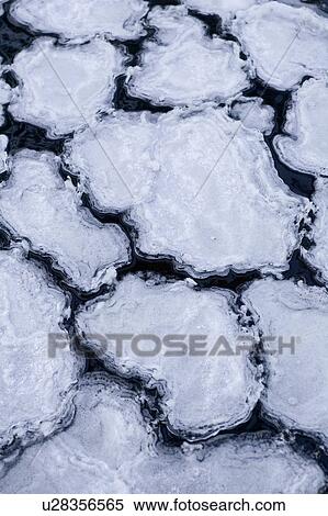 Close-Up, Floating, Floating On Water, Frozen, Full Frame View Large Photo Image Stock Photography - Close-Up, Floating, Floating On Water, Frozen, Full Frame. Fotosearch