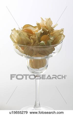 Close-Up, Fruit, Indoors, Leaf View Large Photo Image Stock Photo - Close-Up, Fruit, Indoors, Leaf. Fotosearch