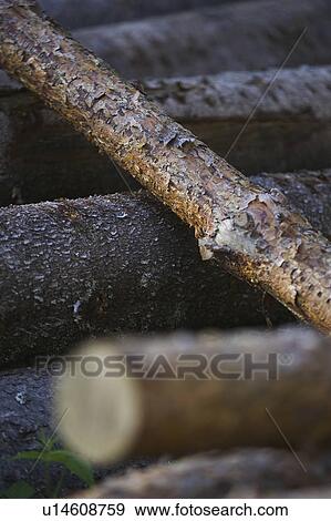 Stock Photo - Close-Up, Full Frame, Heap, Large Group Of Objects. Fotosearch