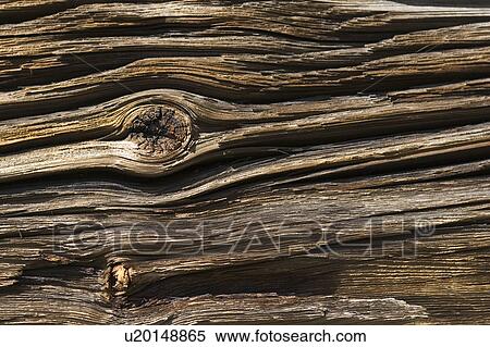 Stock Photography - Close-Up, Nature. Fotosearch