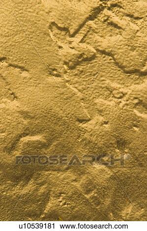 close-up, outdoor, concrete, cement, wall, structure View Large Photo Image Stock Image - close-up, outdoor, concrete, cement, wall, structure. Fotosearch