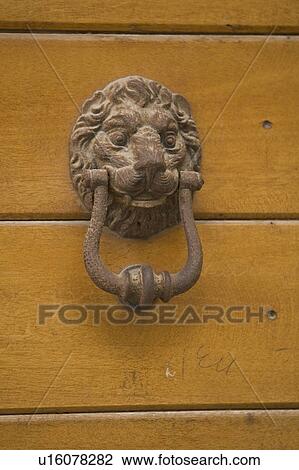 Closed, Door, Day, Close-Up, Animal Themes View Large Photo Image Stock Image - Closed, Door, Day, Close-Up, Animal Themes. Fotosearch