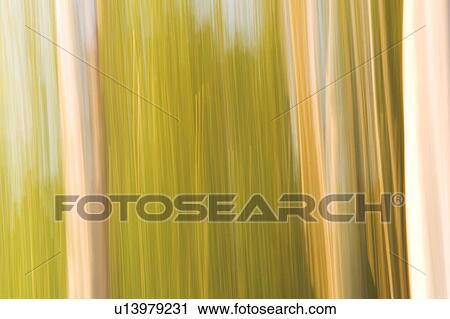 Cloth, Curtain, Design View Large Photo Image Stock Image - Cloth, Curtain, Design. Fotosearch