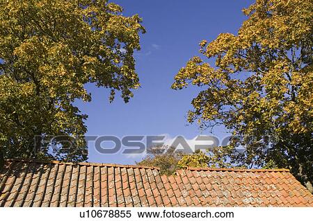 Stock Photography - Cloud, Day, Green. Fotosearch