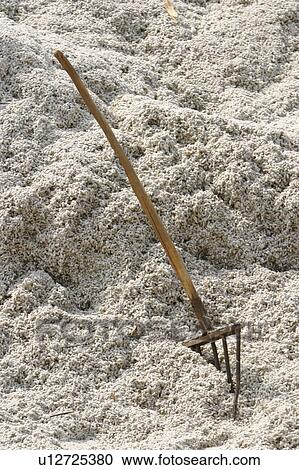 Stock Image - collection, daytime, appearance. Fotosearch