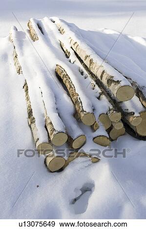 Covering, Day, Heap, Large Group Of Objects View Large Photo Image Stock Photo - Covering, Day, Heap, Large Group Of Objects. Fotosearch