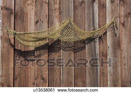 Cracks, Day, Hanging, Intertwined View Large Photo Image Stock Image - Cracks, Day, Hanging, Intertwined. Fotosearch
