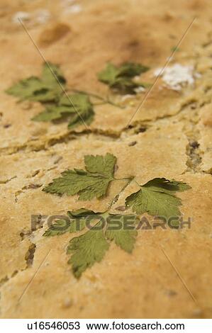 Crust, Food, One Object View Large Photo Image Stock Image - Crust, Food, One Object. Fotosearch