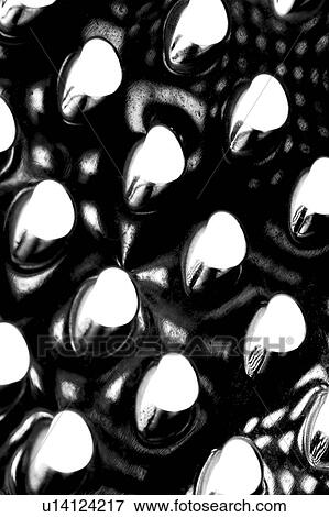 Stock Photo - cutter, tool, shape, shadow, aluminum, aid. Fotosearch