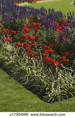 Stock Photograph - Day, Blooms. Fotosearch