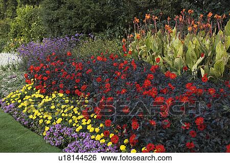 Stock Photograph - Day, Blooms. Fotosearch