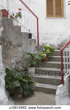 Day, Flower, Hand Rail, Outdoors View Large Photo Image Stock Image - Day, Flower, Hand Rail, Outdoors. Fotosearch