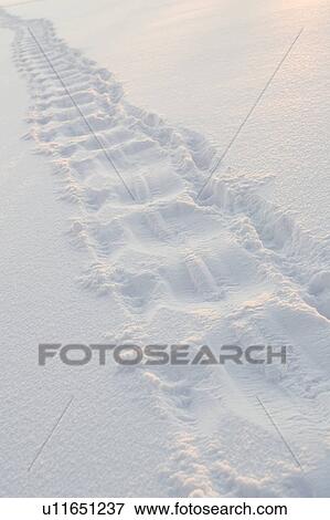 Stock Photo - Day, Footprint, Frozen, Full Frame. Fotosearch
