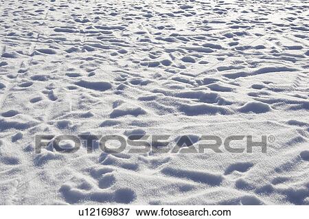 Stock Photo - Day, Footprint, Frozen, Full Frame. Fotosearch