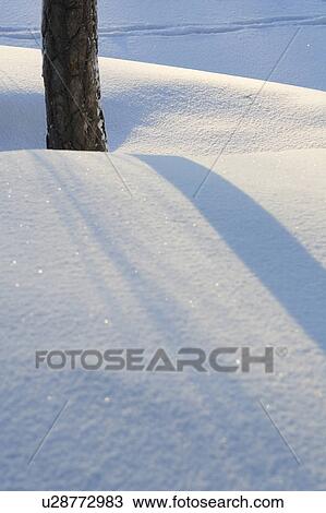 Day, Frozen, Non-Urban Scene, Outdoors View Large Photo Image Stock Image - Day, Frozen, Non-Urban Scene, Outdoors. Fotosearch