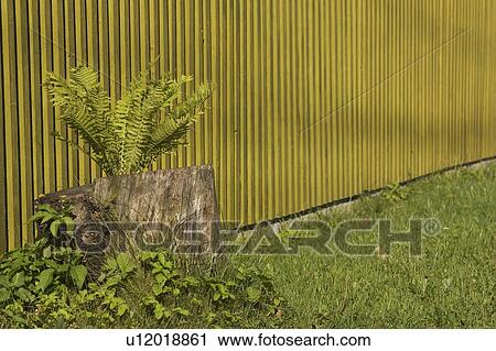 Day, Grass View Large Photo Image Stock Image - Day, Grass. Fotosearch