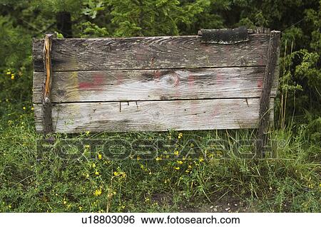 Stock Photograph - Day, Greenery, Flowers, Fixed, Arrangement. Fotosearch