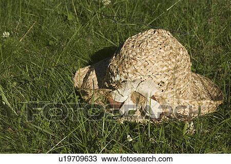 Day, Outdoors, Grass View Large Photo Image Stock Image - Day, Outdoors, Grass. Fotosearch