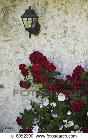 Day, Outdoors View Large Photo Image Stock Image - Day, Outdoors. Fotosearch