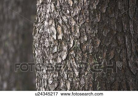Day, Outdoors View Large Photo Image Stock Photo - Day, Outdoors. Fotosearch
