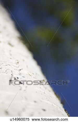 Stock Photography - Day, Outdoors. Fotosearch