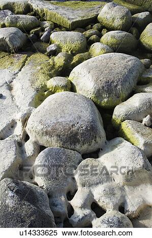 Stock Photography - Day, Sea, Seashore, Rocks. Fotosearch