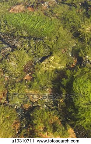 Stock Image - Day, Seaside, Rocks. Fotosearch
