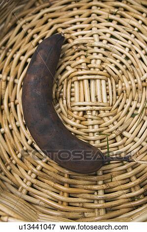 Stock Photo - Day. Fotosearch