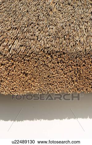 Stock Image - detail, palm, protection, structure, hay, constructed. Fotosearch