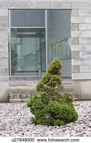Stock Image - developed, building, city, construction, construct, appearance. Fotosearch